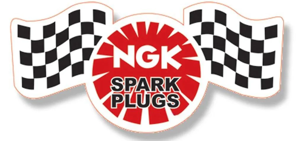NGK Spark Plugs HEMI (5.7L, 6.4L) - Image 9